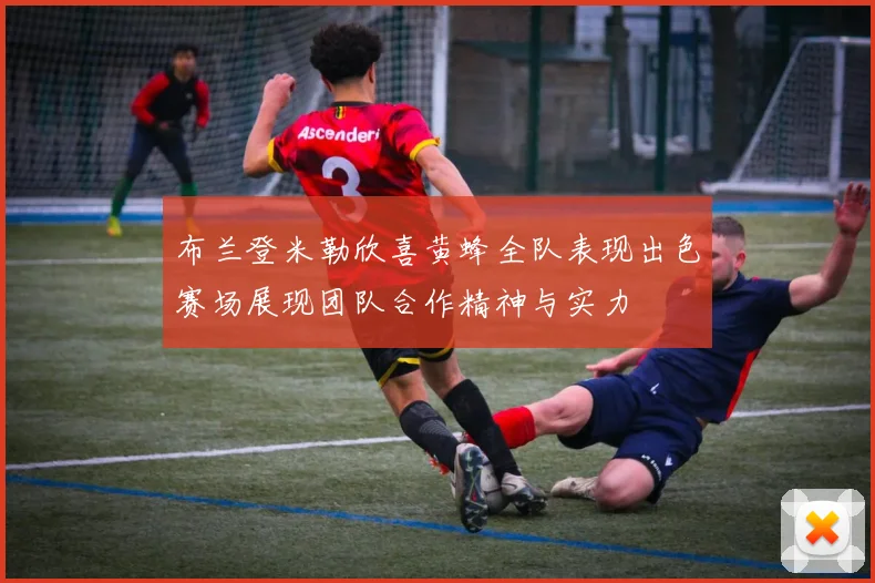 布兰登米勒欣喜黄蜂全队表现出色赛场展现团队合作精神与实力