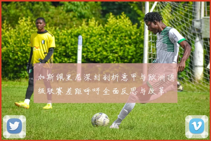 加斯佩里尼深刻剖析意甲与欧洲顶级联赛差距呼吁全面反思与改革